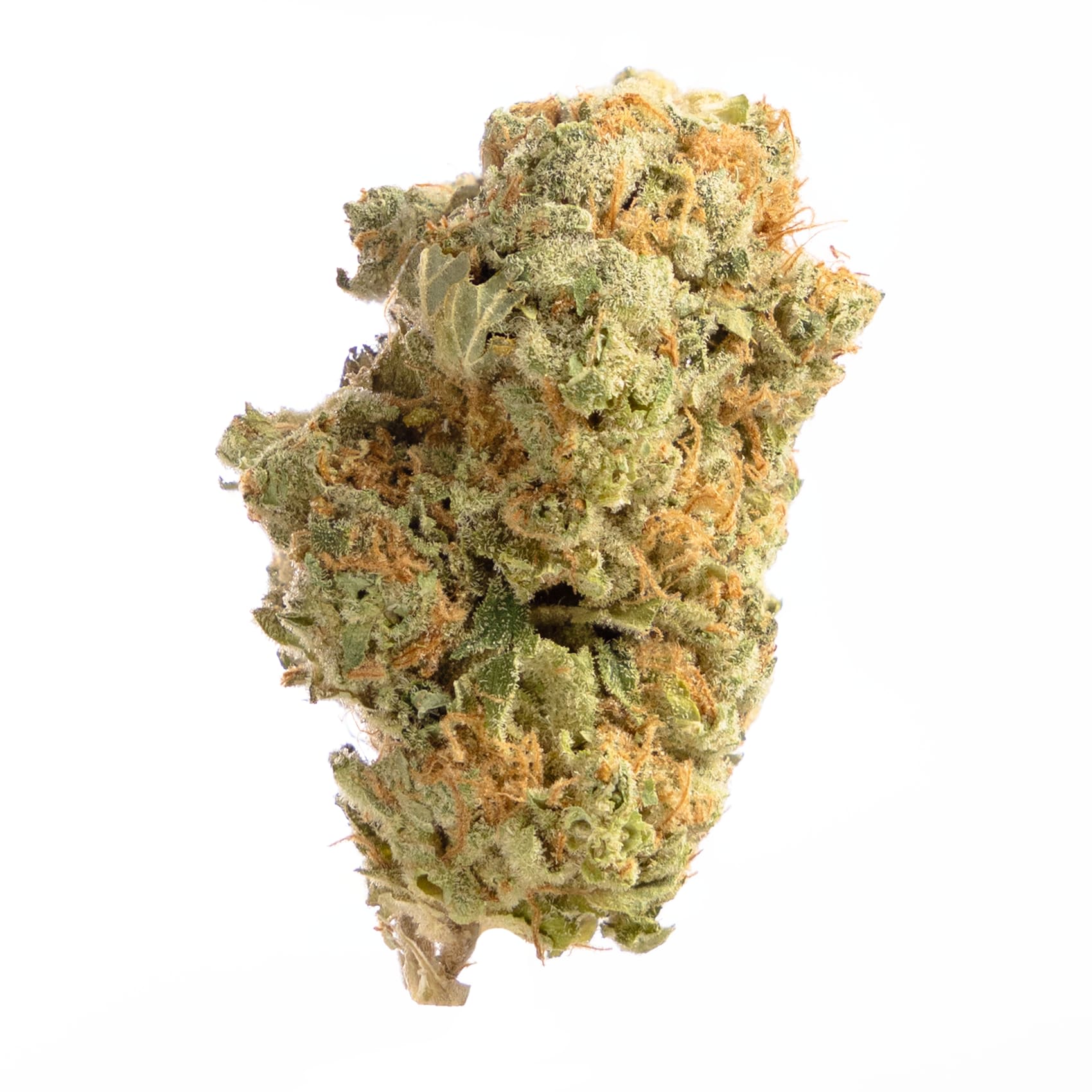 Ten Ten Biscotti Cakes Weed Pool Stores