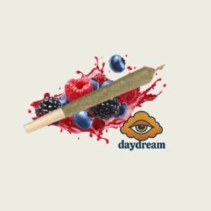 daydream - Super Berry P/R