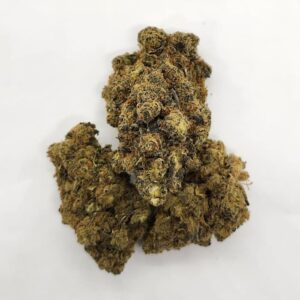 Elevator - BC Rockstar
