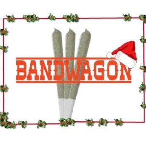 Bandwagon - Eggnog Latte P/R