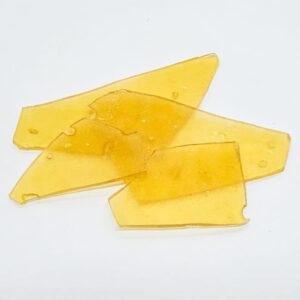 True North - Hot Donna Shatter