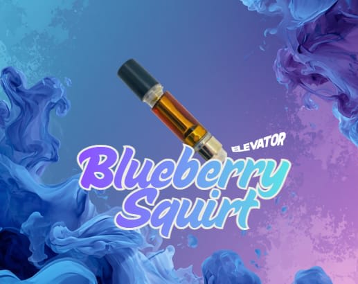 Source photograph: Elevator – Blueberry Squirt 510
